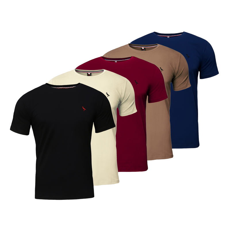 5 Camisetas com logo bordado (malha peruana - 100% algodão)