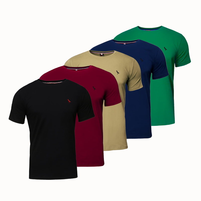 5 Camisetas com logo bordado (malha peruana - 100% algodão)